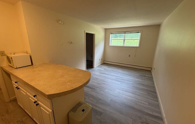 1 bed, 1 bath, 454 sqft, $1,265, Unit O-102