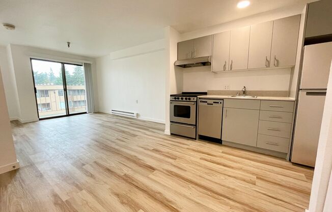 Studio, 1 bath, 480 sqft, $1,450, Unit 316