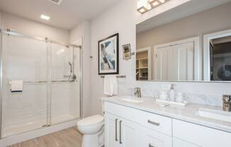 a bathroom with a shower and a sink and a mirror