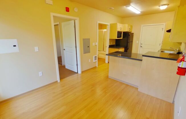 1 bed, 1 bath, 391 sqft, $1,195, Unit 207