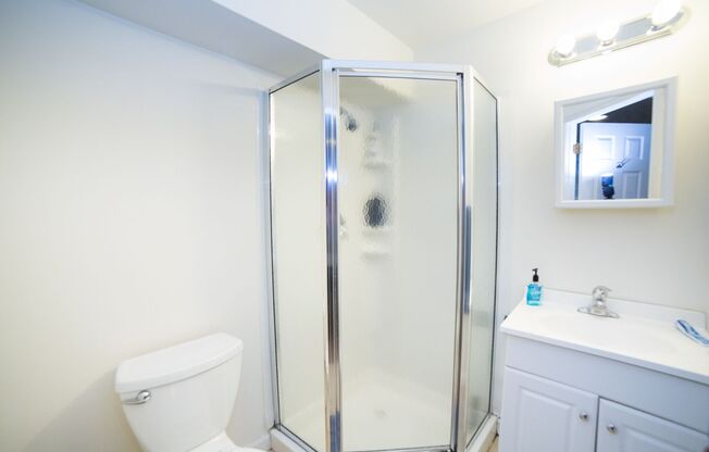 Newly Renovated Temple Apartment