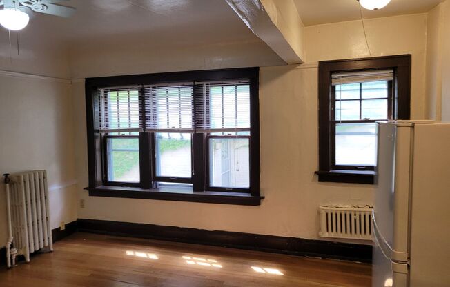 Studio, 1 bath, $795, Unit 207