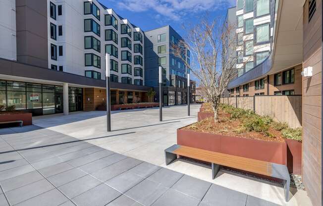 a bench with a tree in a planter in front of a building at Marina Square, Washington