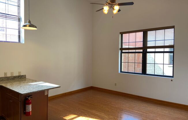 Pine Street Lofts - Residential