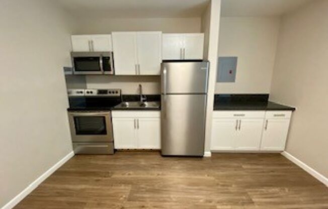 1 bed, 1 bath, 420 sqft, $1,350, Unit 313