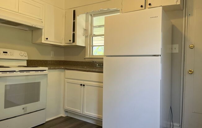 Updated 6bd/3ba w/ Large Backyard in Forest Park!