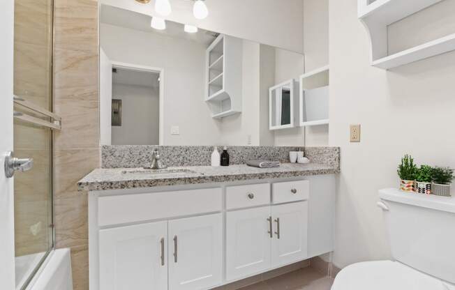 a bathroom with a sink and a toilet and a shower