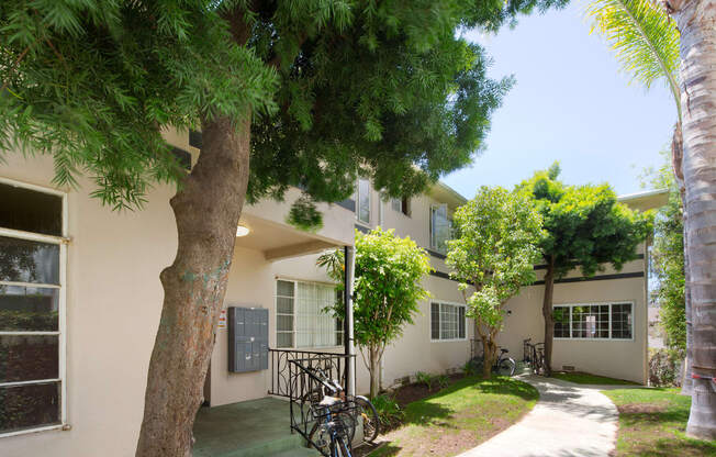 Apartment building courtyard with lush landscaping