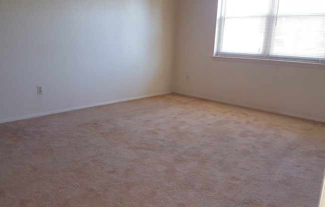 2 beds, 1 bath, $1,250, Unit APARTMENT E