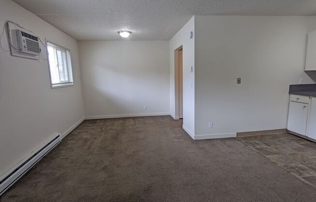 Studio, 1 bath, 350 sqft, $995, Unit 307