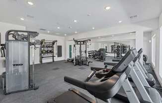 A gym with a variety of equipment including treadmills, weights, and exercise machines.