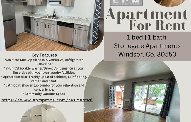 Renovated, includes Stackable Laundry + Private Balcony - Desirable Location! - Windsor Living - 2 bed 1 bath - $1510/mo.