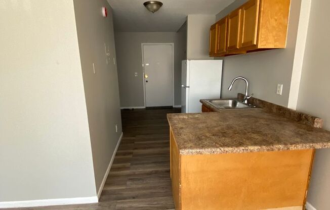 Studio, 1 bath, $1,000, Unit 2747313