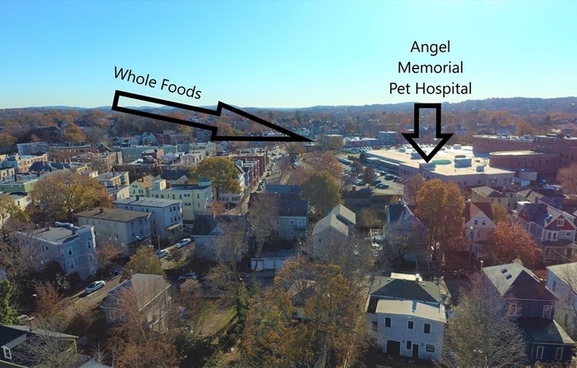11 ARCOLA ST