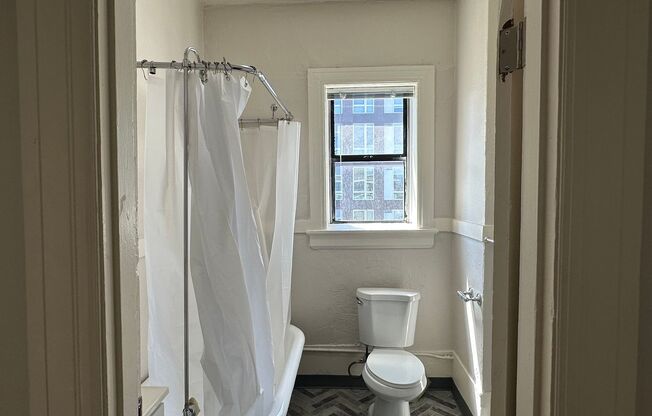 1 bed, 1 bath, 455 sqft, $1,095, Unit 307