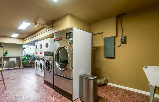 1 bed, 1 bath, 700 sqft, $1,700, Unit 06