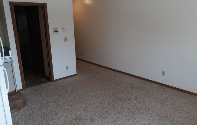 Studio, 1 bath, 370 sqft, $550, Unit 305