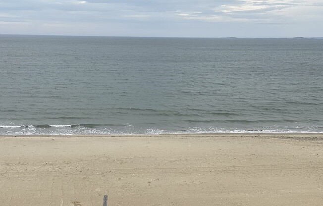 2 beds, 2 baths, 1,110 sqft, $3,100, Unit 6B