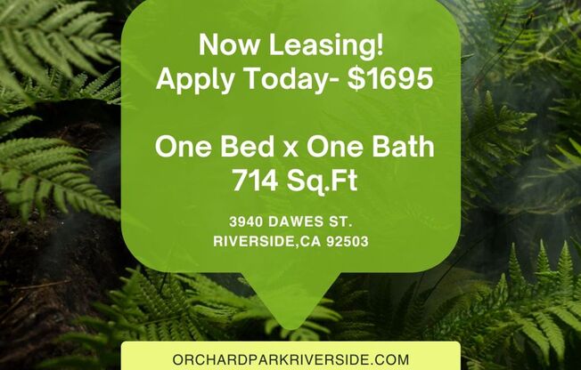 Orchard Park Apts