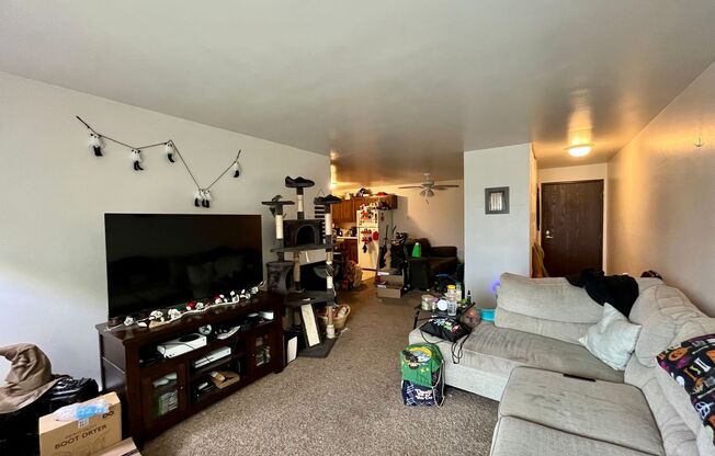 2 beds, 1.5 baths, $1,350, Unit 205