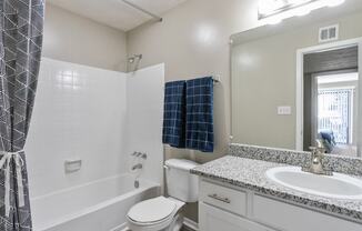 a bathroom with a shower toilet and sink and a mirror