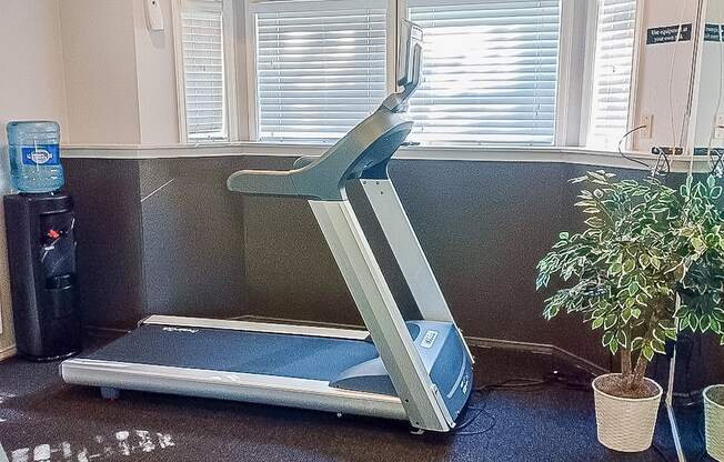A treadmill is in a room with a plant and a water cooler.