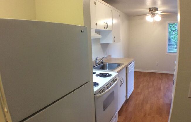 Dutch Village Apartments