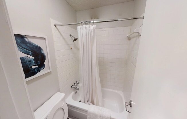 Studio, 1 bath, $1,150, Unit 205