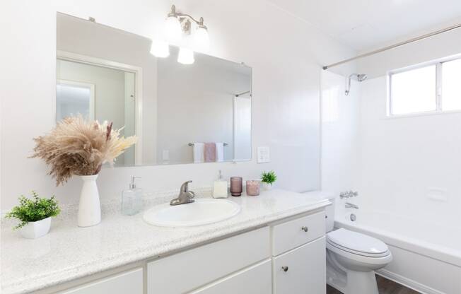 a bathroom with a sink and a mirror and a toilet