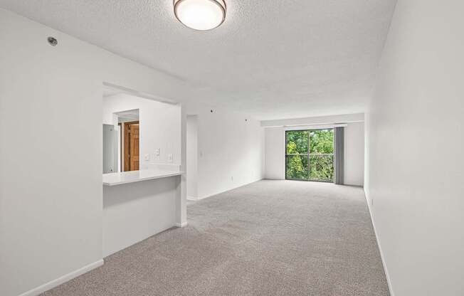 A spacious room with a carpeted floor and a window leading to a green outdoor area.