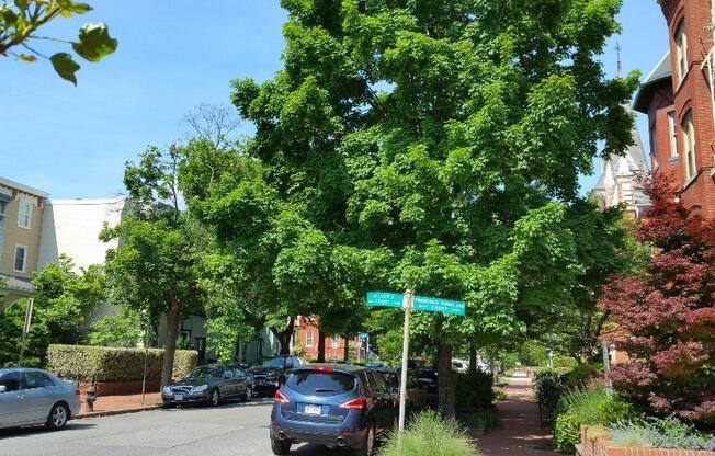 1 bed, 1 bath, 700 sqft, $4,950