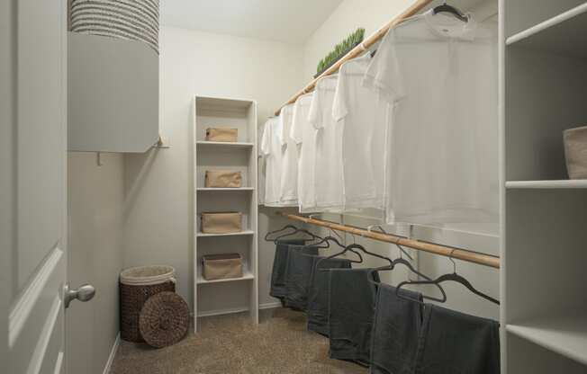 Large walk-in closets at Trevi Apartment Homes