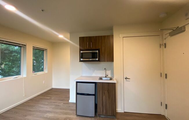 Studio, 1 bath, 178 sqft, $1,295, Unit 201