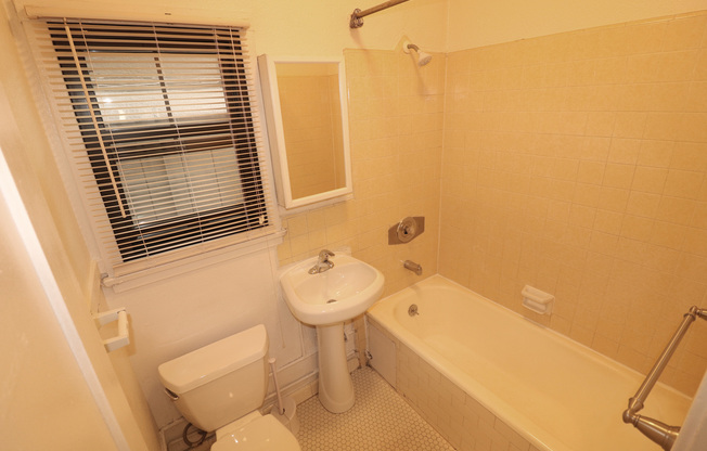 Studio, 1 bath, 375 sqft, $1,595, Unit 202