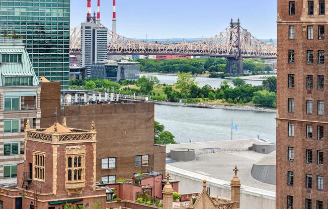 Studio, 1 bath, $2,995, Unit 1002