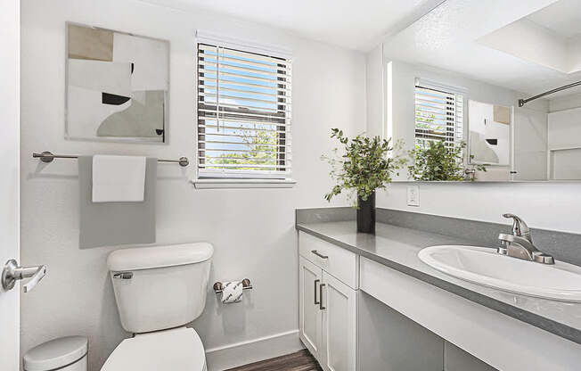 bathroom with a window at The Crossings Apartments, Michigan, 49508