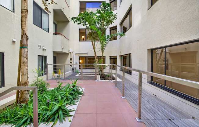 A courtyard with a tree and plants.