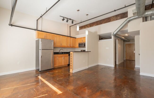 301 NORTH - Petersburg Loft Living