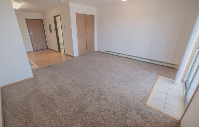 Studio, 1 bath, 390 sqft, $660, Unit 1414-207