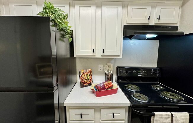 2 beds, 2 baths, 1,006 sqft, $995, Unit 100