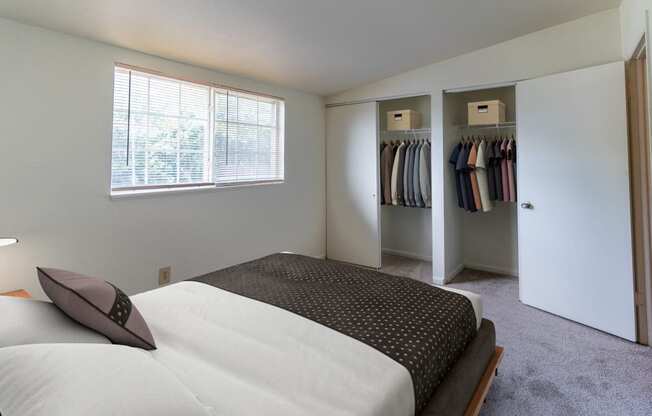 a bedroom with a large bed and a closet