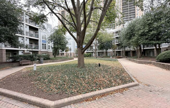 2 beds, 2 baths, $2,595, Unit Unit 204