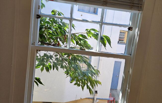 Studio, 1 bath, 337 sqft, $1,249, Unit 29