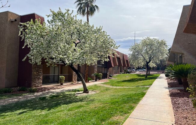 4960 Indian River #467 - 2 Bedrooms , 1 Bathroom, 816 SQFT