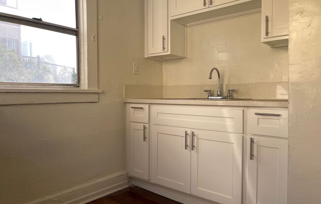 Studio, 1 bath, 350 sqft, $1,495, Unit 0310