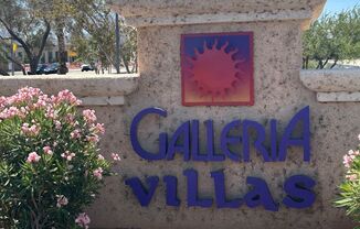 1 bed, 1 bath, $1,250, Unit UNIT 1123