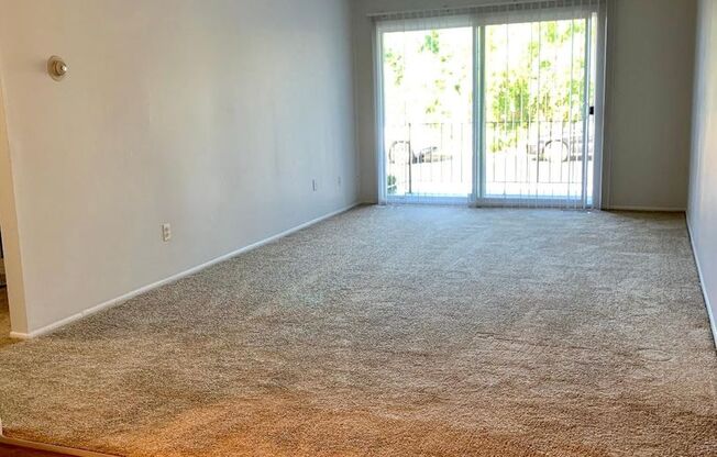 1 bed, 1 bath, 750 sqft, $1,145, Unit 302