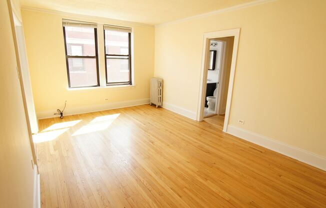 Studio, 1 bath, 499 sqft, $1,450, Unit Spaulding-304