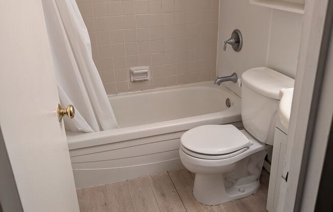 1 bed, 1 bath, 570 sqft, $3,200, Unit 609