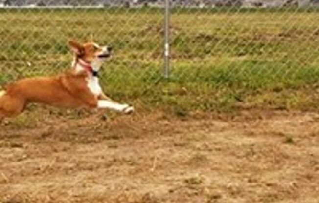 2 beds, 2 baths, 1,039 sqft, $1,595, Unit 3100